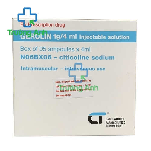 Gerolin 1g/4ml Injectable solution - Thuốc trị tai biến mạch máu não