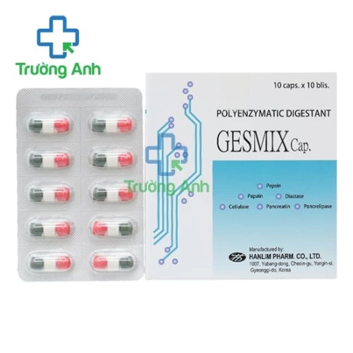 GESMIX Cap - Thuốc hỗ trợ điều trị rối loạn tiêu hóa hiệu quả