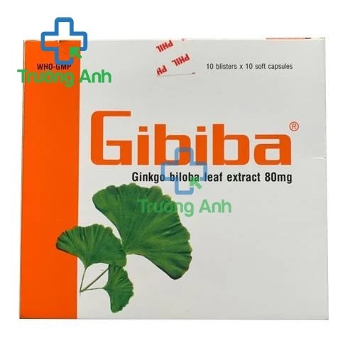 Gibiba - Hỗ trợ tăng cường tuần hoàn máu não