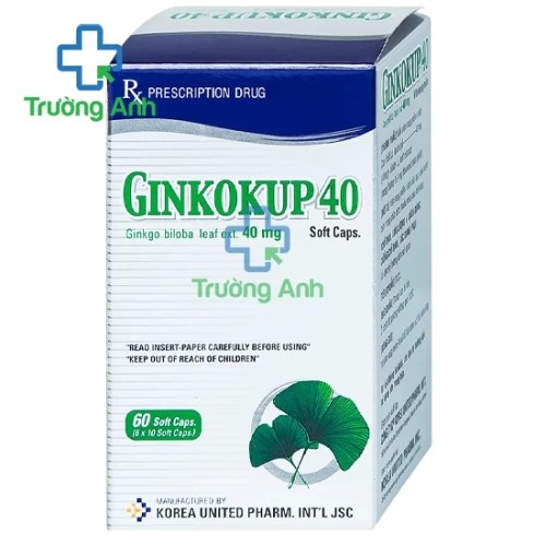 Ginkokup 40mg - Thuốc điều trị các bệnh về rối loại trí não