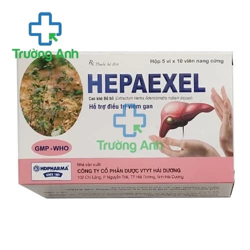 Hepaexel - Cao khô bồ bồ 300mg