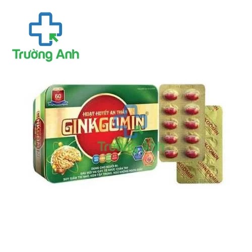 Hoạt Huyết An Thần Ginkgomin - Ginkgo Biloba 120mg Hatapharm