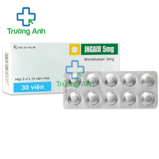 Ingair 5mg - Thuốc phòng và điều trị hen phế quản hiệu quả của TV.Pharm