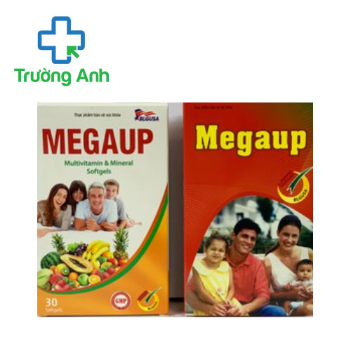 Megaup Hatapharm - Hỗ trợ bổ sung vitamin và khoáng chất hiệu quả (10 hộp)