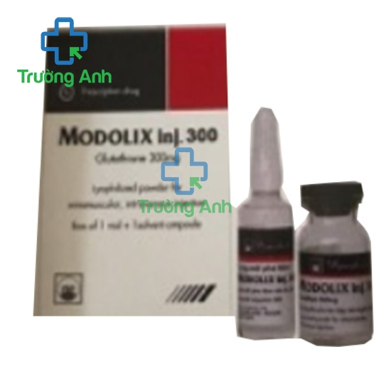 MODOLIX inj 300 - Thuốc điều trị ung thư của Pymepharco