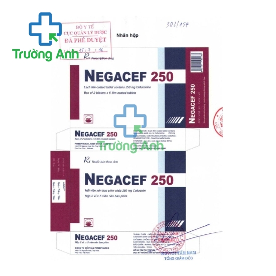 Negacef 250 - Thuốc điều trị nhiễm khuẩn hiệu quả của Pymepharco