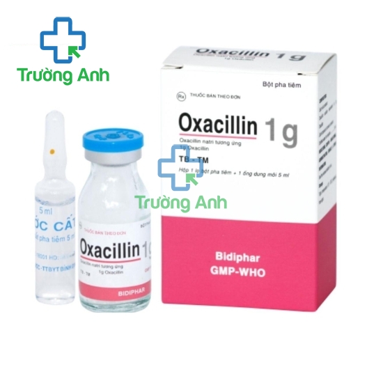 Oxacillin 1g Bidiphar - Thuốc điều trị nhiễm khuẩn hiệu quả