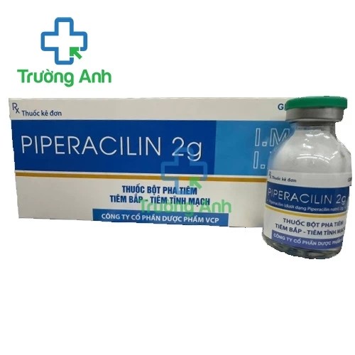 Piperacilin 2g VCP - Thuốc điều trị nhiễm khuẩn hiệu quả
