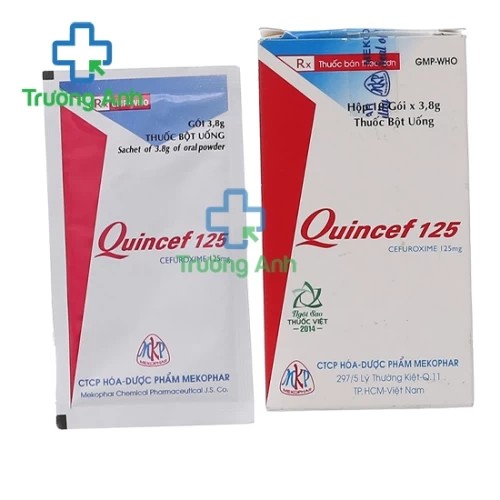 Quincef 125mg (bột) - Thuốc điều trị nhiễm khuẩn đường tiết niệu hiệu quả