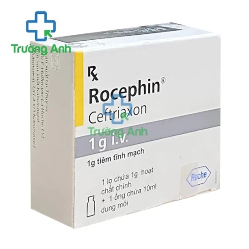 Rocephin 1g - Thuốc kháng sinh điều trị nhiễm trùng hiệu quả