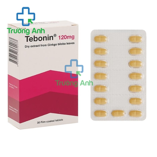 Tebonin 120mg - Hỗ trợ điều trị rối loạn tuần hoàn máu não hiệu quả của Đức