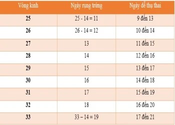 Cách tính ngày rụng trứng