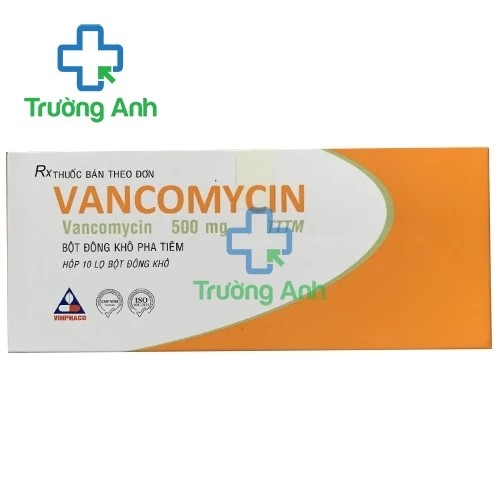 Vancomycin 500mg Vinphaco - Thuốc điều trị nhiễm khuẩn hiệu quả