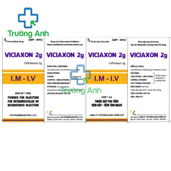 Viciaxon 2g VCP - Thuốc điều trị nhiễm trùng hiệu quả