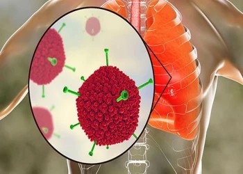 Virus Adeno gây bệnh gì? Triệu chứng và cách phòng ngừa ra sao?
