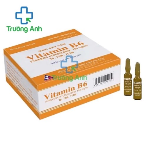Vitamin B6 100mg/1ml Vinphaco - Thực phẩm bổ sung vitamin B6 hiệu quả