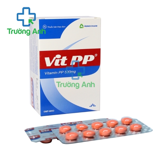 VitPP 500mg Agimexpharm - Thuốc điều trị bệnh Pellagra hiệu quả