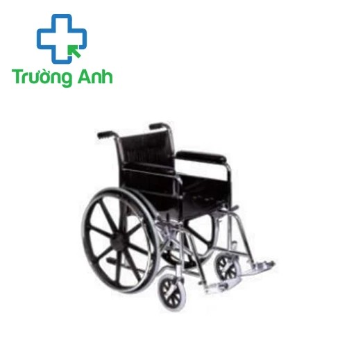 Xe đẩy bệnh nhân ngồi SWC-02 - Xe lăn tay của Summit Care